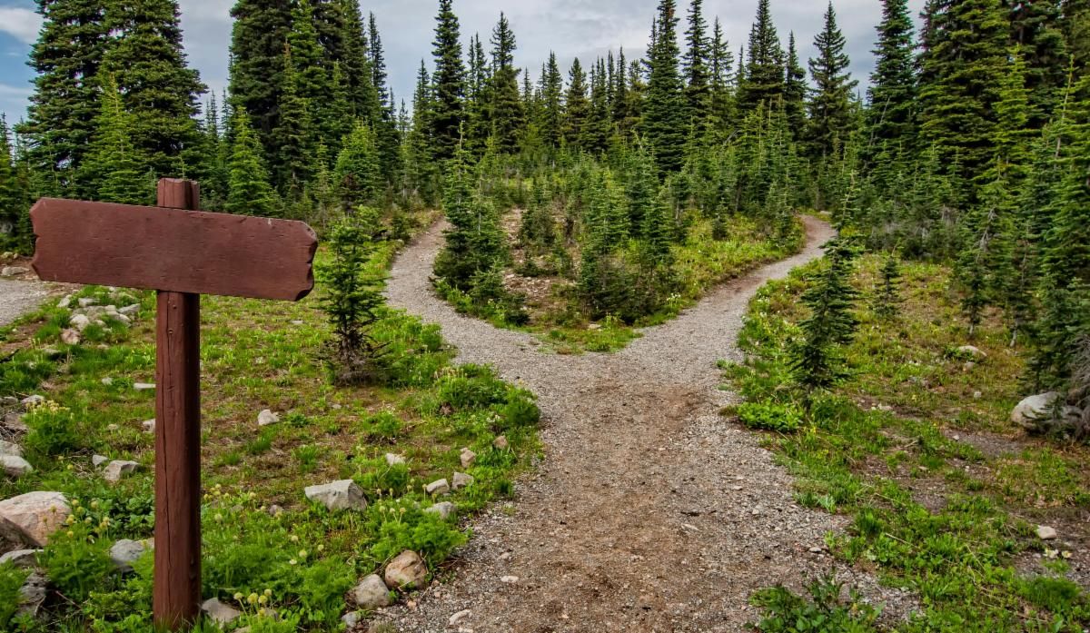 Where Do We Go From Here? William Mack & Associates, Inc