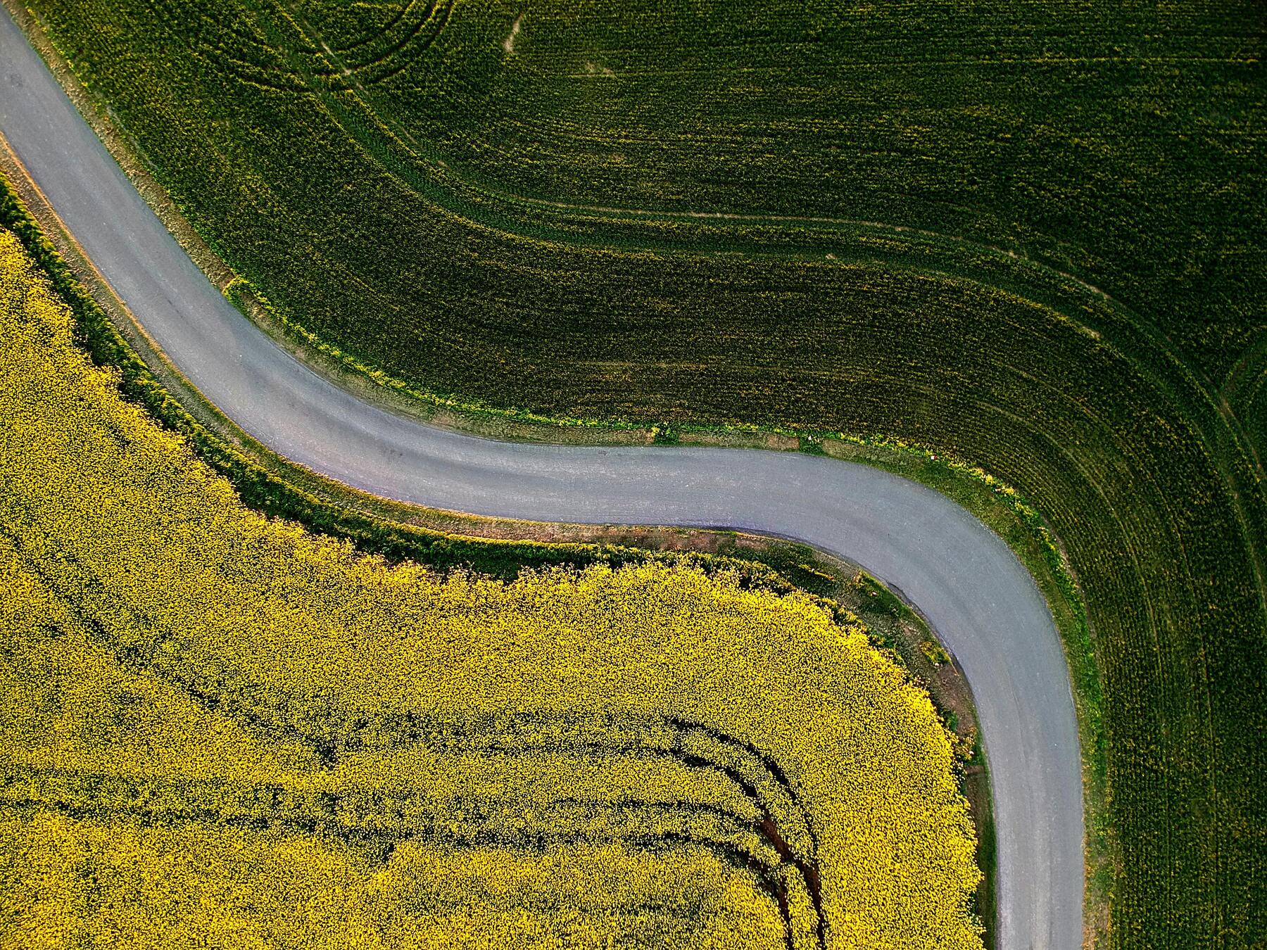 arial view of a pathway in field